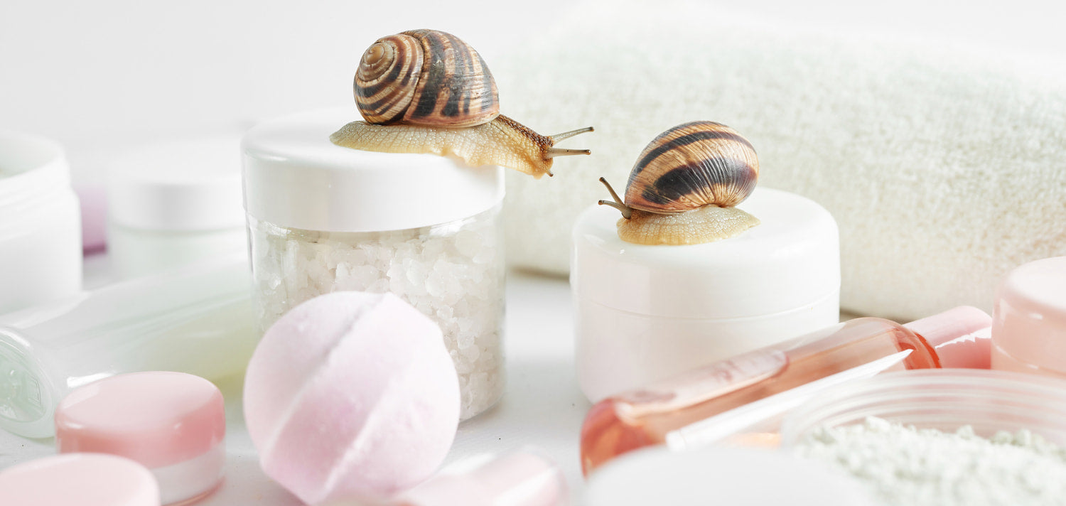 Properties of snail slime cream and benefits