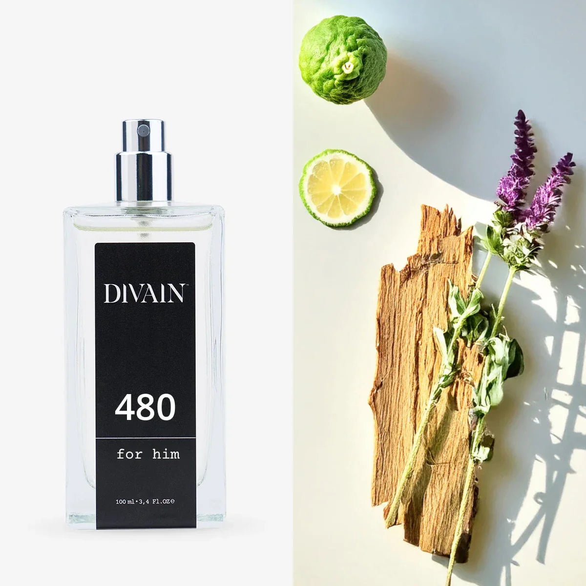 divain.480